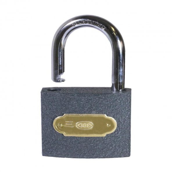 Asma Kilit  Kapı Dolap Kilidi Gri 25 mm 2 Anahtarlı - 2