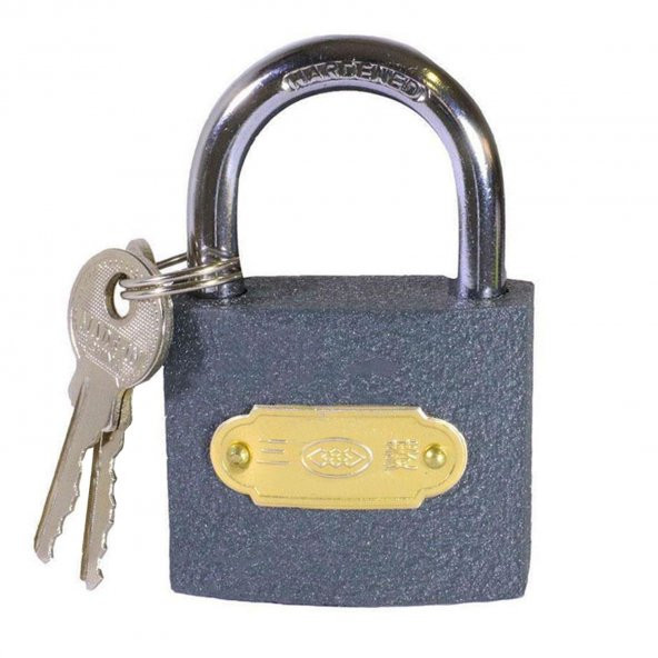 Asma Kilit  Kapı Dolap Kilidi Gri 25 mm 2 Anahtarlı - 3