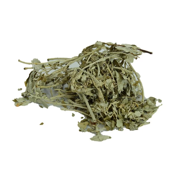 Doğal İğde Yaprağı Saf İğde Ağacı Yaprak 100GR Paket - 2