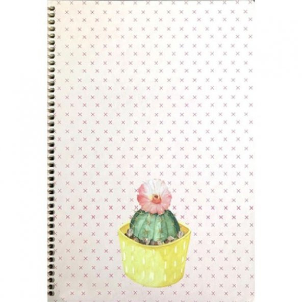 Keskin Color Spriralli S Kap Saguaro Defter 20x28 100 Yp Kareli