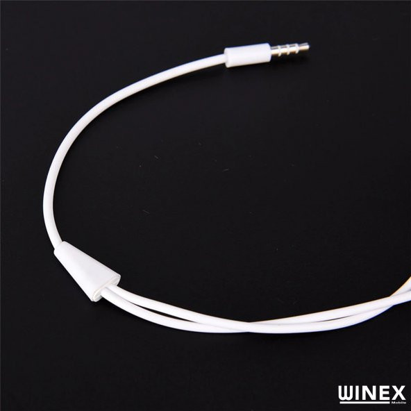 Winex 3.5mm to Double 3.5mm Dönüştürücü Adaptör - 4