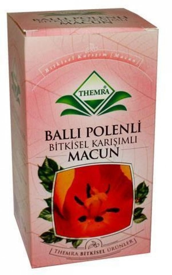 Themra Ballı Polenli Karışım Macun - 420 gr