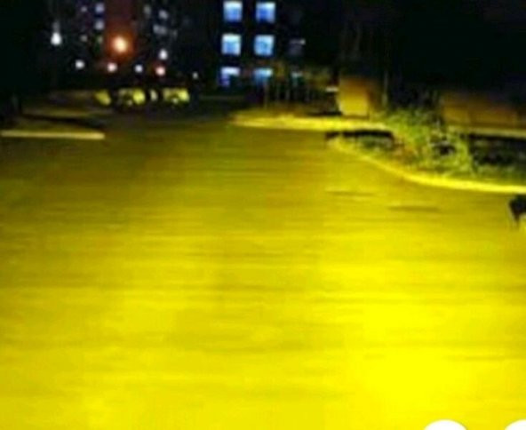 H4 LİMON SARISI AMPUL  Weather Vısıon Xenon Effect - 3