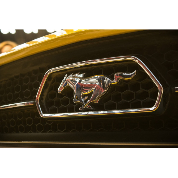 DK Ford Mustang Shelby GT Koşan At Ön Panjur Vidalı Gold Metal Logo - 5