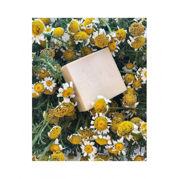 PAPATYA SABUNU 100 GRAM