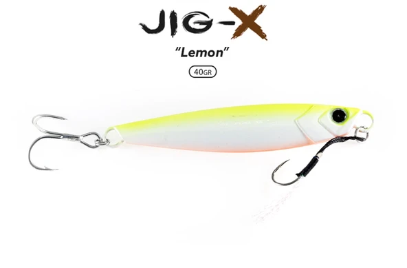FUJİN JİG-X 40GR SHORE JİGGİNG - JİG YEM - 4
