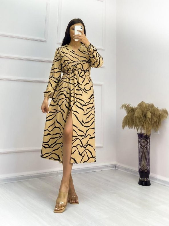 Zebra Desen Kap - 2