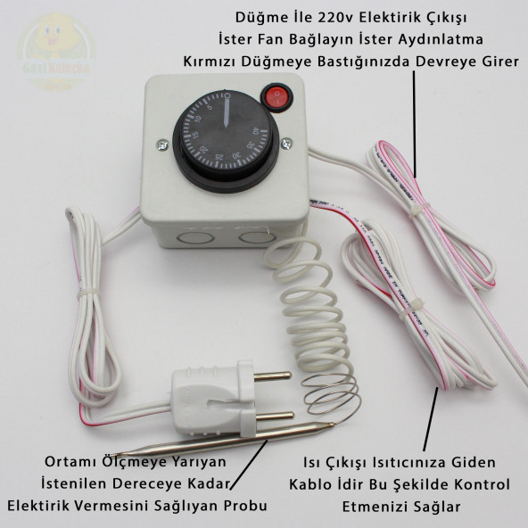 Termostat Kontrollü Düğmeli Yanan 1 Lamba Çıkışlı 3 Sabit Duyu Seti Hayvan Kümes Kulübe Isıtma Ana Kucağı - 2