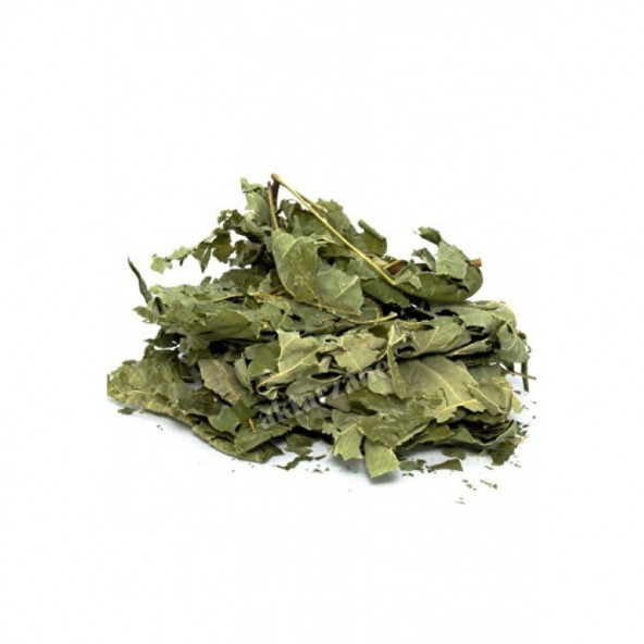 Tetra Yaprağı 50gr