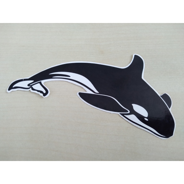 KÖPEK BALIĞI STİCKER 14x6cm - shark KÖPEK BALIĞI  ETİKETİ,  KÖPEK BALIĞI ÇIKARTMASI ürün görseli