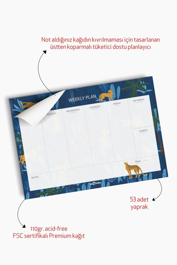 2li Masaüstü Planlayıcı Set Tropikal - 2