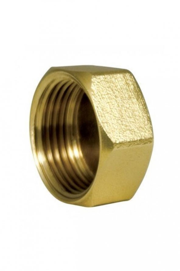 Sarı Dişi Körtapa 3/4