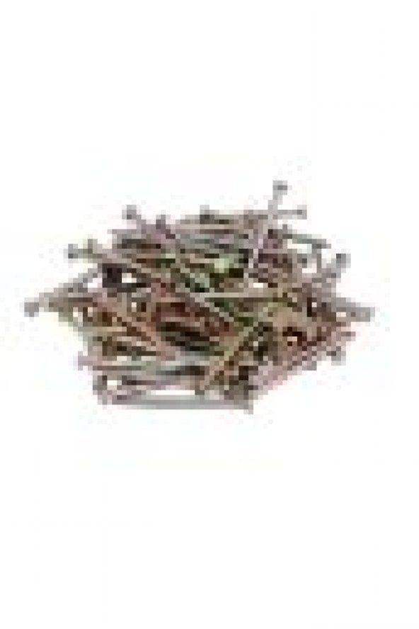 Parke ve Süpürgelik Çivisi 4 cm 100 Adet