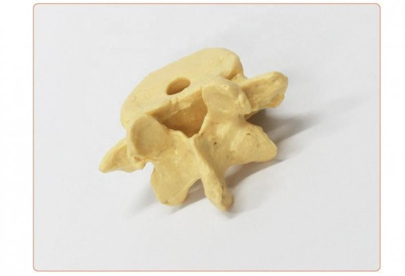 Omur Şeklinde Kalemlik Model 1 - 2