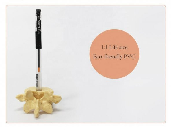 Omur Şeklinde Kalemlik Model 1 - 3