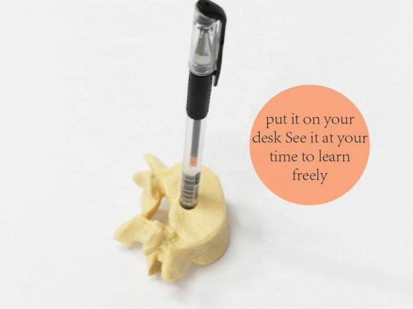 Omur Şeklinde Kalemlik Model 1 - 4