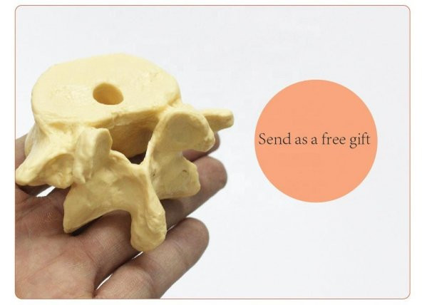 Omur Şeklinde Kalemlik Model 1 - 5