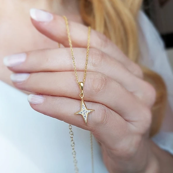 Kadın Kutup Yıldızı Hediye Gümüş Kolye - Resim 2