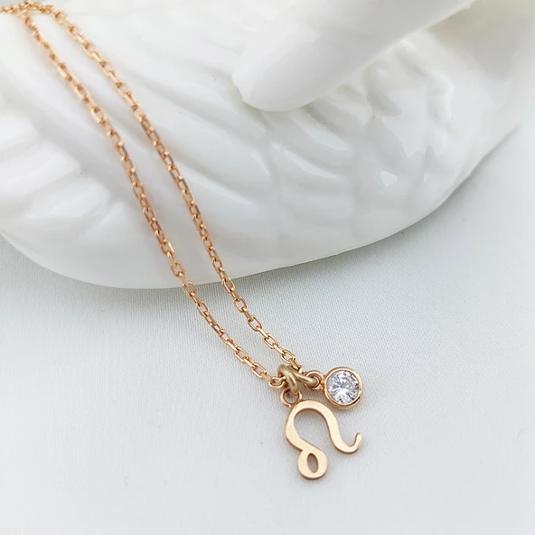 Vaoov 925 Ayar Gümüş Aslan Burcu Kolye - Resim 3