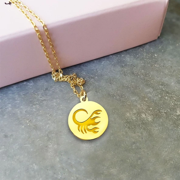 Vaoov 925 Ayar Gümüş Akrep Burcu Kolye ürün görseli