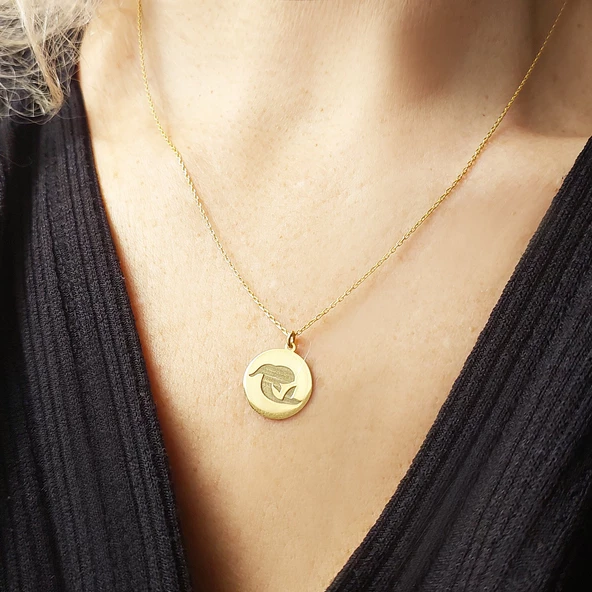 Vaoov 925 Ayar Gümüş Balık Burcu Kolye - Resim 4