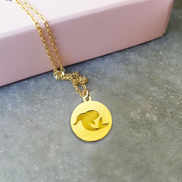 Vaoov 925 Ayar Gümüş Balık Burcu Kolye ürün görseli