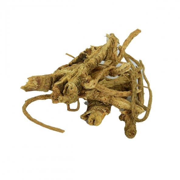 Melekotu Kökü Doğal 1000 Gr Paket