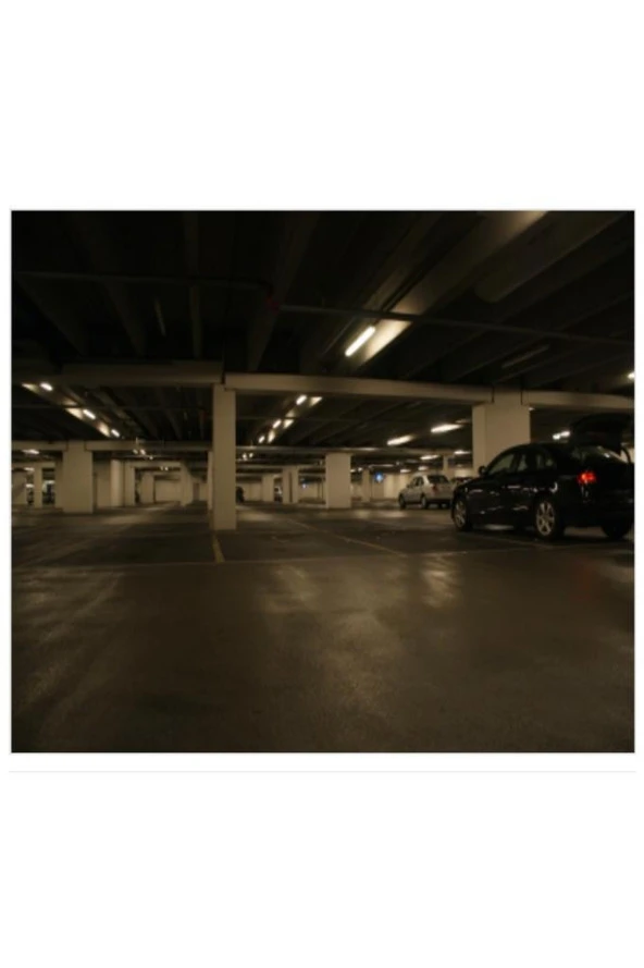 Philips Master TL5 HO 39W/830 T5 Floresan Ampul Sarı 3000K (85 cm) - 4