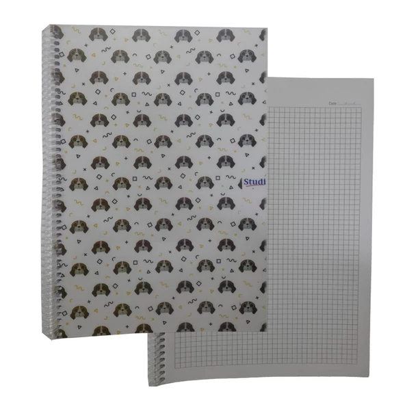 Kareli 72 Yaprak Spiralli Defter A4 Boy Desenli Plastik Kapak 1 Adet Studi 72 yp Spralli Plastik Kapak Kareli Defter - 5