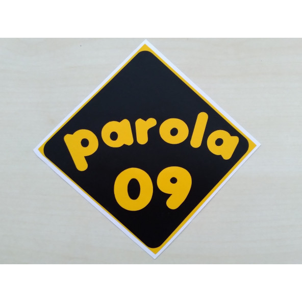 PLAKA 09 STİCKER SİYAH 11x11cm AYDIN PLAKA STİCKER, PAROLA 09 PLAKA ETİKETİ, 09 PLAKA ÇIKARTMASI - 1