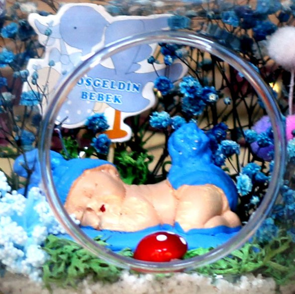 Hoşgeldin Bebek Erkek Elma Teraryum 2 - 3