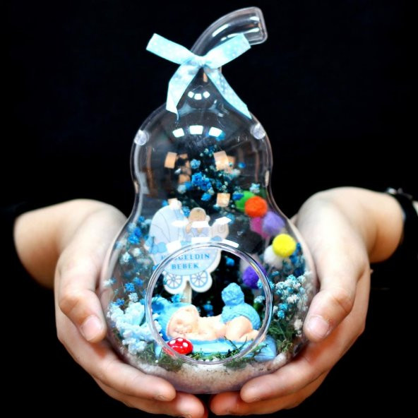 Hoşgeldin Bebek Erkek Armut Teraryum 2 - 3