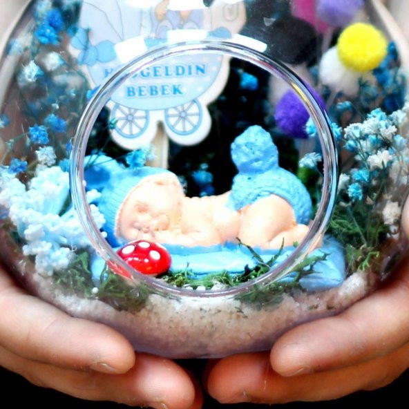 Hoşgeldin Bebek Erkek Armut Teraryum 2 - 4