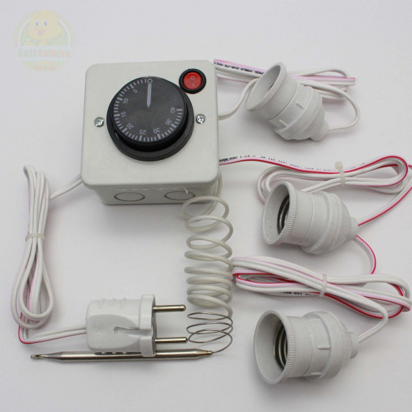 Termostat Kontrollü Düğmeli Yanan 1 Lamba 2 Sarkan Duyu Çıkışlı Seti Hayvan Bıldırcın Isıtma Sistemi - 3