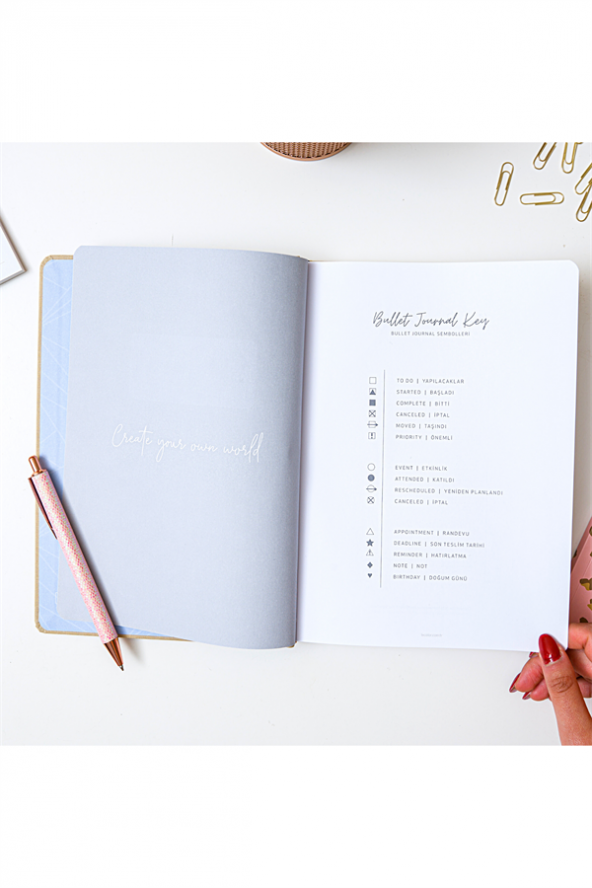 17X24 Keten Noktalı Bullet Journal Defter Koala - 3