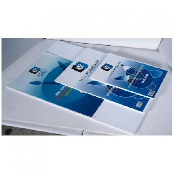 Alex Schoeller ALX-5006 Resim Kağıdı 25X35 120 Gr 100 Lü - 2
