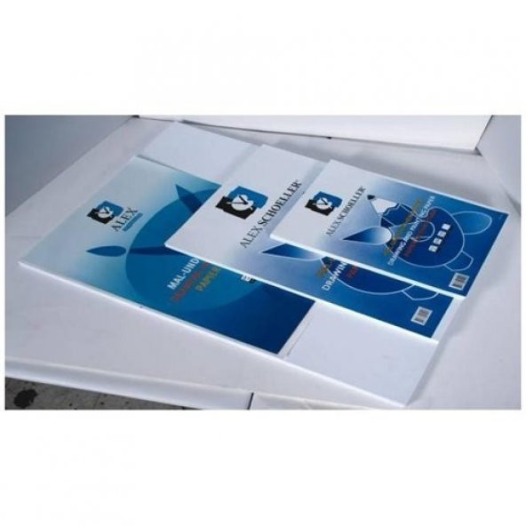 Alex Schoeller ALX-5020 Resim Kağıdı 50 X 70 120 Gr-100Lü - 2
