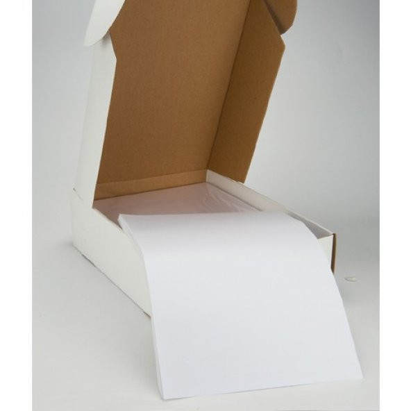 Tanex TW-2000 210x297 mm Laser Etiket 100 Ad. - Resim 2