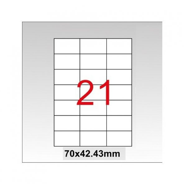 Tanex TW-2124 70x42,43 mm Laser Etiket 100 Ad. - 1