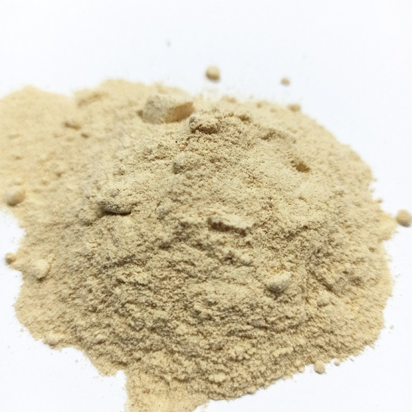 Naturdan Soğan Tozu 250 Gr - 2