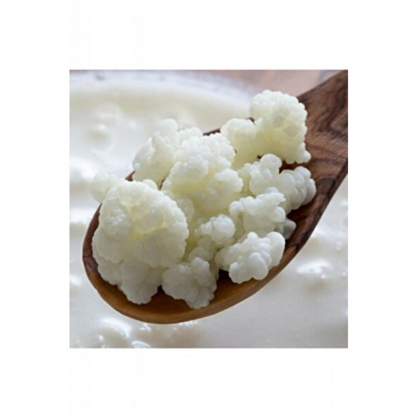 Kırgız Kefir Mayası - 2