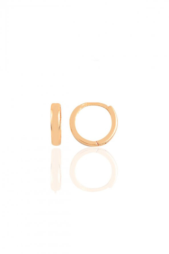Gümüş rose 11 mm halka küpe Tragus Piercing Helix Kıkırdak Küpesi - 1
