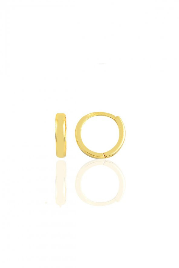 Gümüş altın yaldızlı 10 mm halka küpe Tragus Piercing Helix Kıkırdak Küpesi