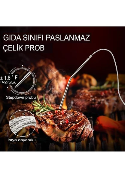 Cosmostech Thermo TP-06B Dijital Et Termometresi - 2