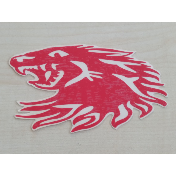 EJDERHA sticker (2Lİ TAKIM) KIRMIZI 11cmx6cm (DRAGON) EJDERHA ETİKETİ ÇIKARTMASI logosu arması - Resim 3