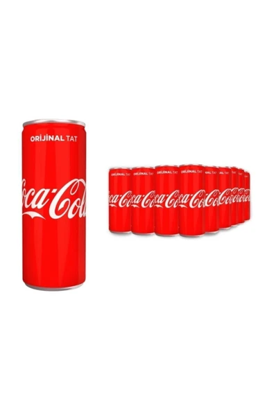 Coca Cola 250 ml 24 Adet
