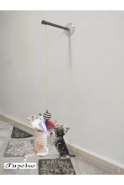 Vantuzlu Kedi Oltası Kedi Oyuncağı