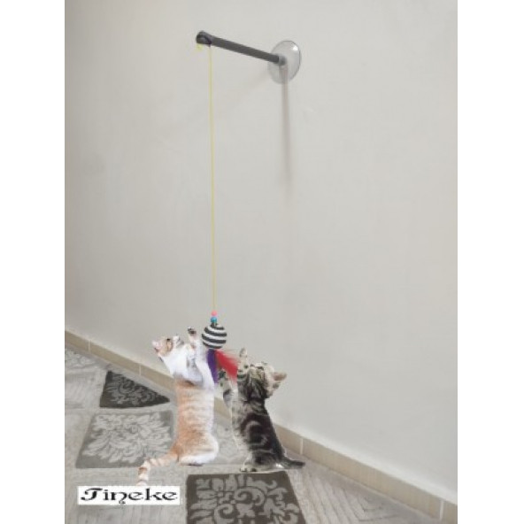 Tineke Vantuzlu Kedi Oltası Kedi Oyuncağı