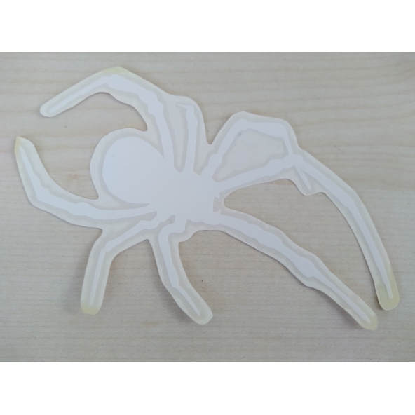 ÖRÜMCEK STİCKER Beyaz 14x8,5cm Spider STİCKER, ÖRÜMCEK ETİKETİ, ÖRÜMCEK ÇIKARTMASI