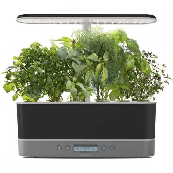 AeroGarden Harvest Elite Slim Hidroponik Bahçe (Topraksız Tarım)